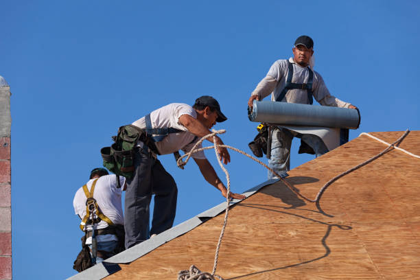 Best Gutter Installation and Roofing  in Worthington, KY